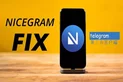 Nicegram应用图标-在线下载,ios在线安装